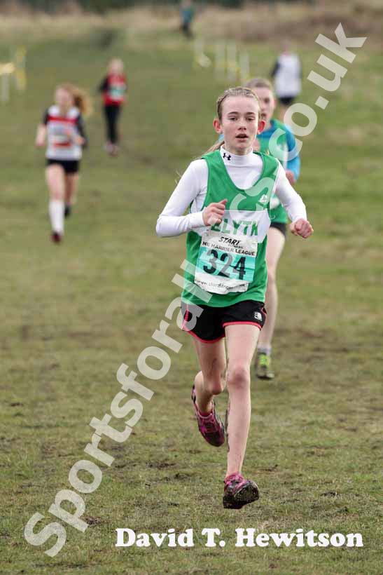 Under-15 girls green 324, NEHL, Wrekenton.